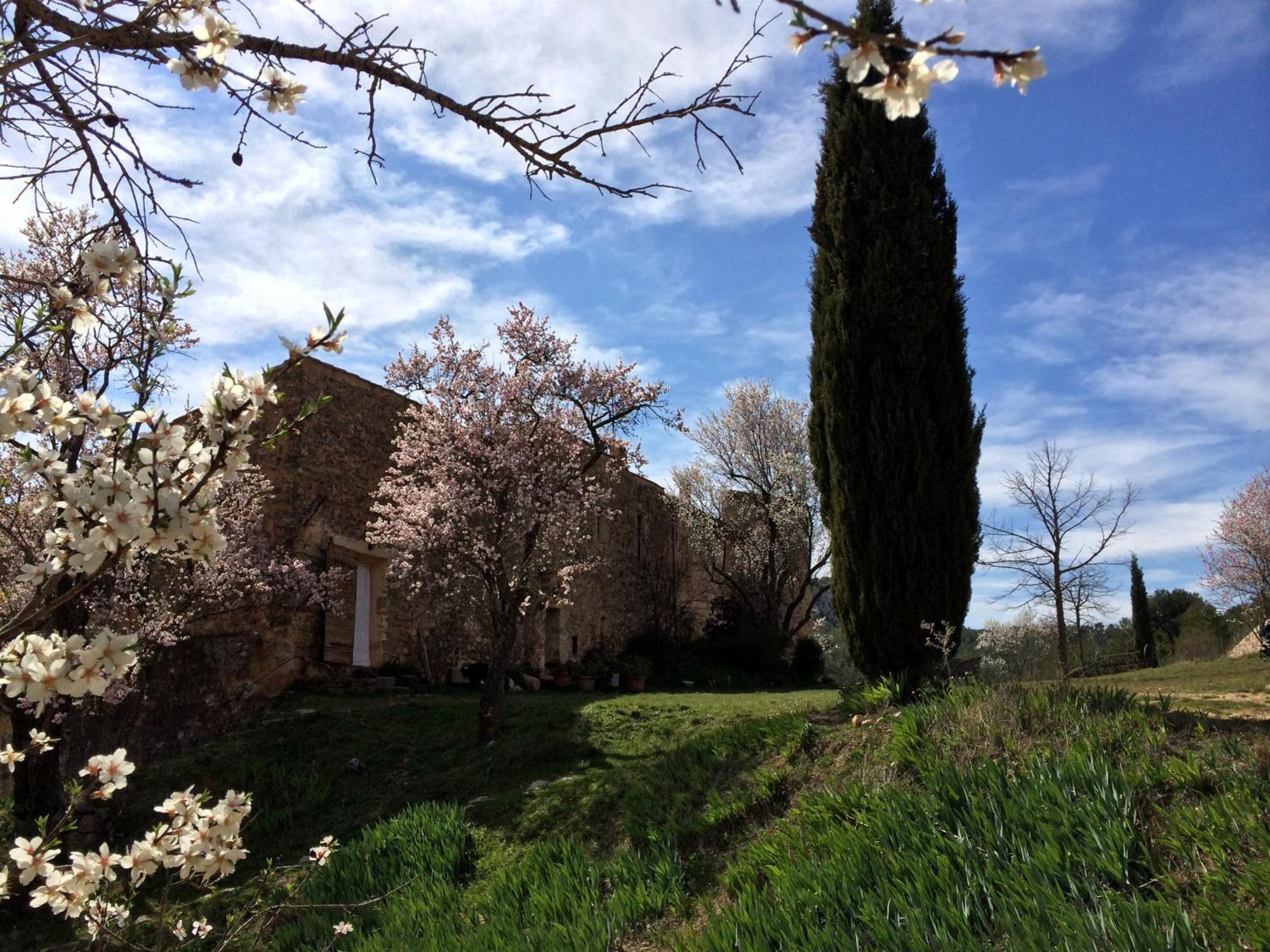 Maison A Aix En Provence Au Pied De La Sainte Victoire Beaurecueil Экстерьер фото